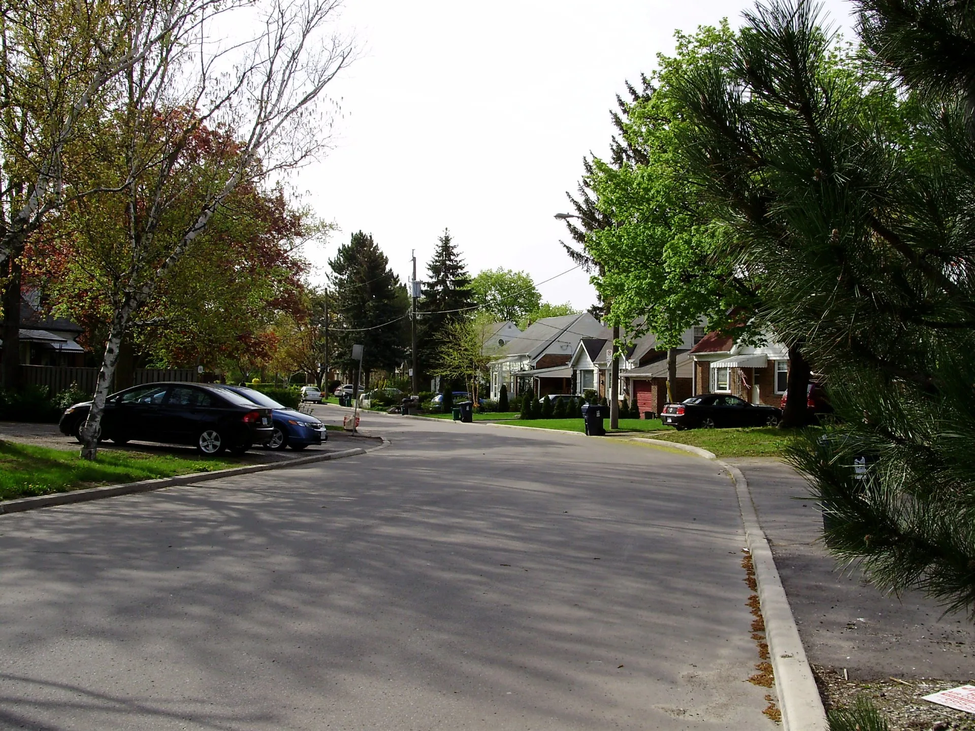 Tree-lined residential street of family homes in Toronto